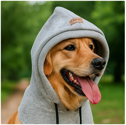 Stylish Grey Dog Hoodie - Keep Your Pup Cozy and Chic