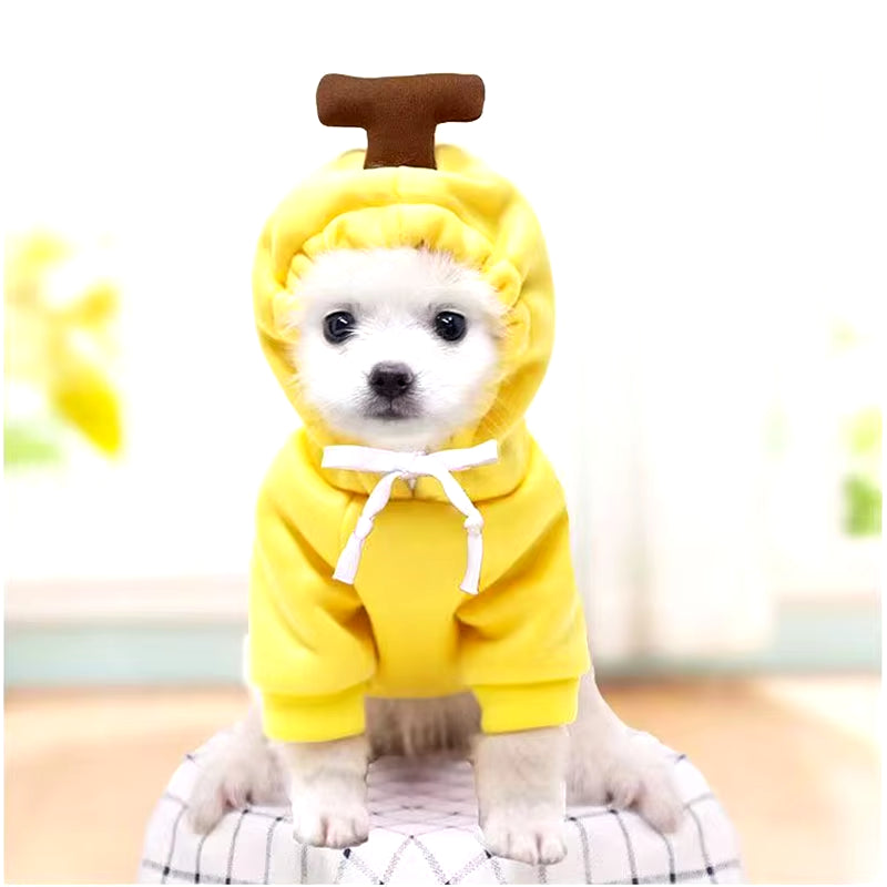 Cute Dog Hoodie Pet Fruit Clothes Funny Dog Cat Coats with Hat Halloween Cosplay Costume Dogs Hooded Sweatshirt for Puppies Cat